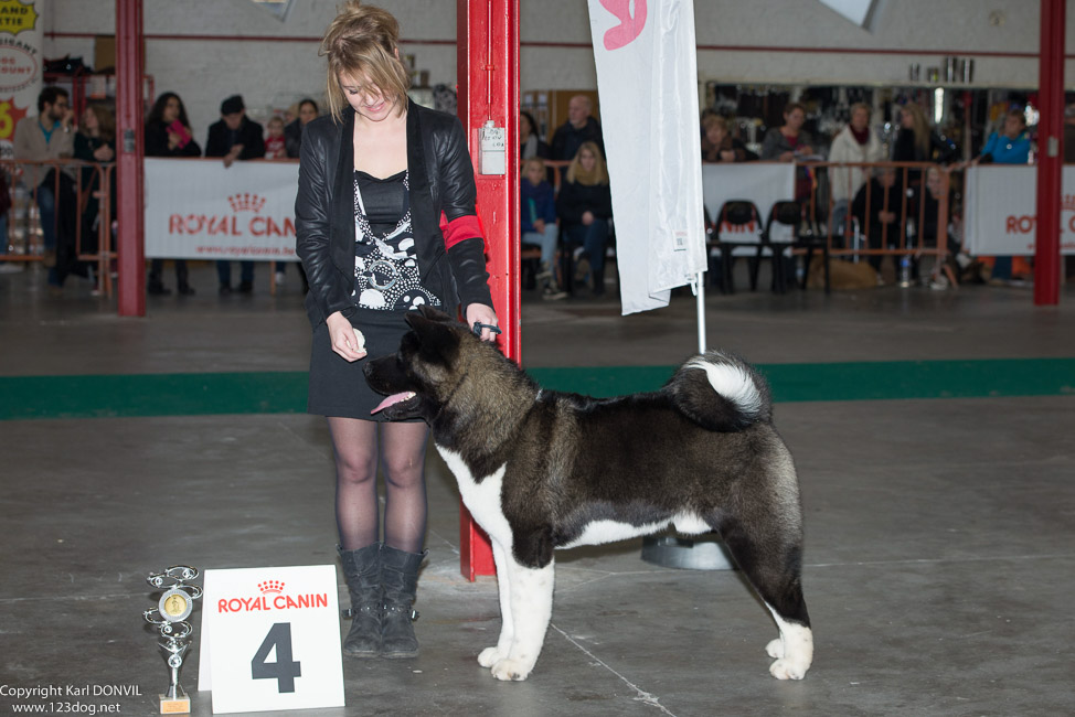 gal/Expo_janvier_2015/2015-02-27 13.32.02-1.jpg